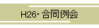 H26E