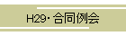 H29E